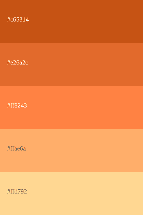 Palette de Couleurs Orange [Codes et Combinaisons]