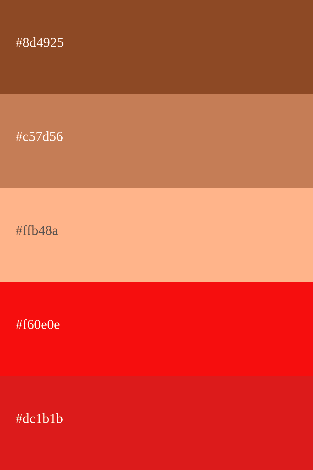 Paleta de colores marrón y rojo