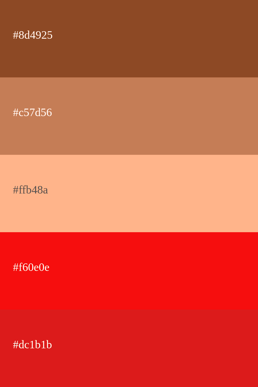 Palette de couleurs marron et rouge