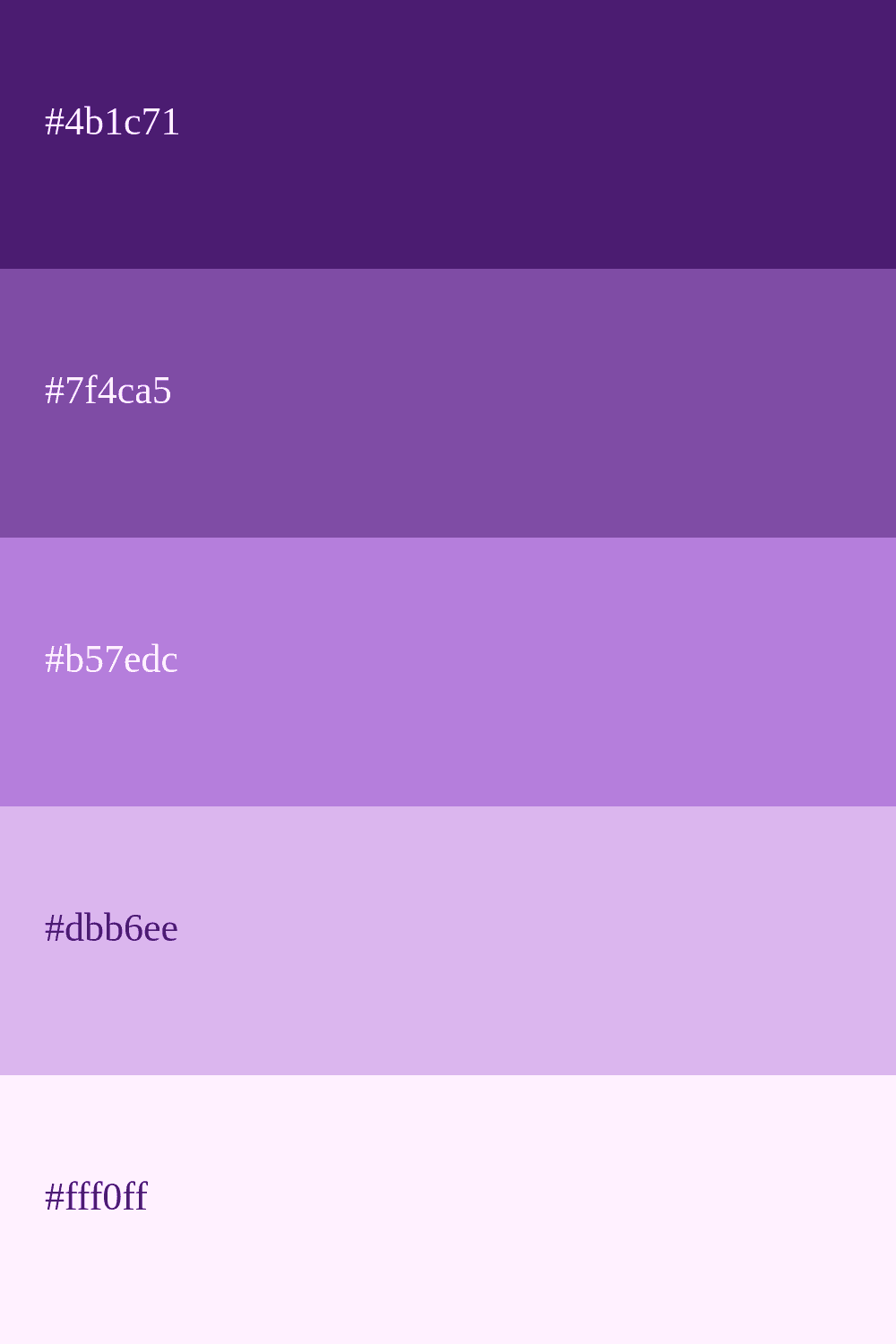 Morado Color Palette