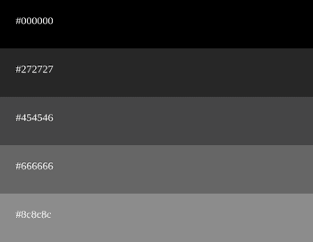 Paleta de cores cinza - [Combinações e códigos]