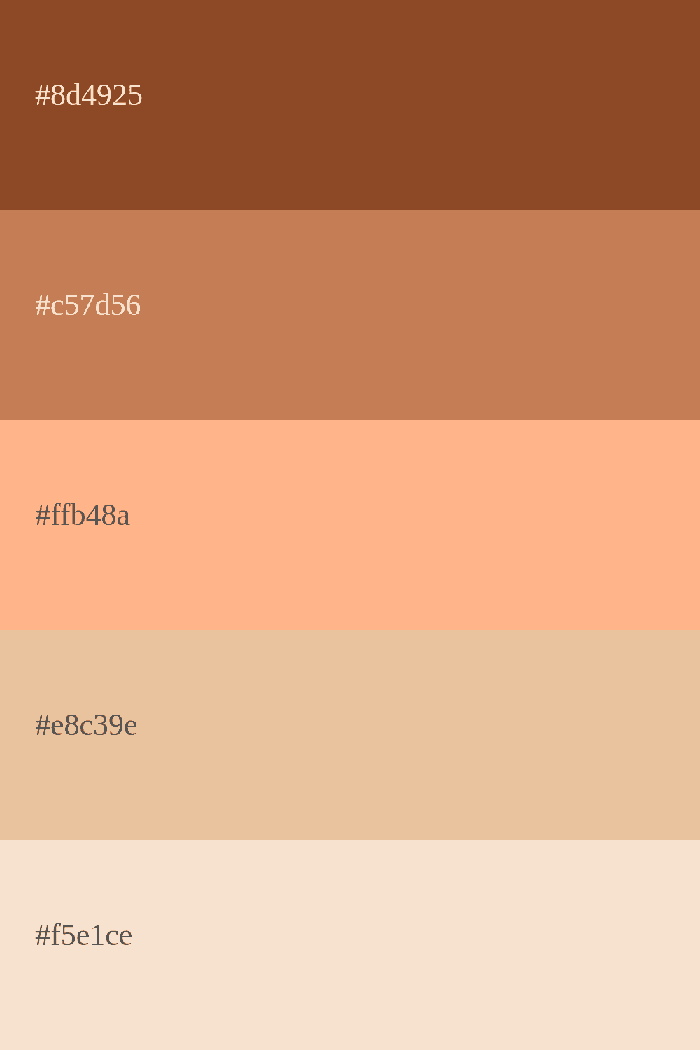 Palette de couleur marron avec beige