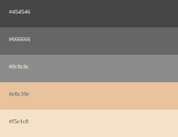 Graue Farbpalette [Kombinationen + Codes]